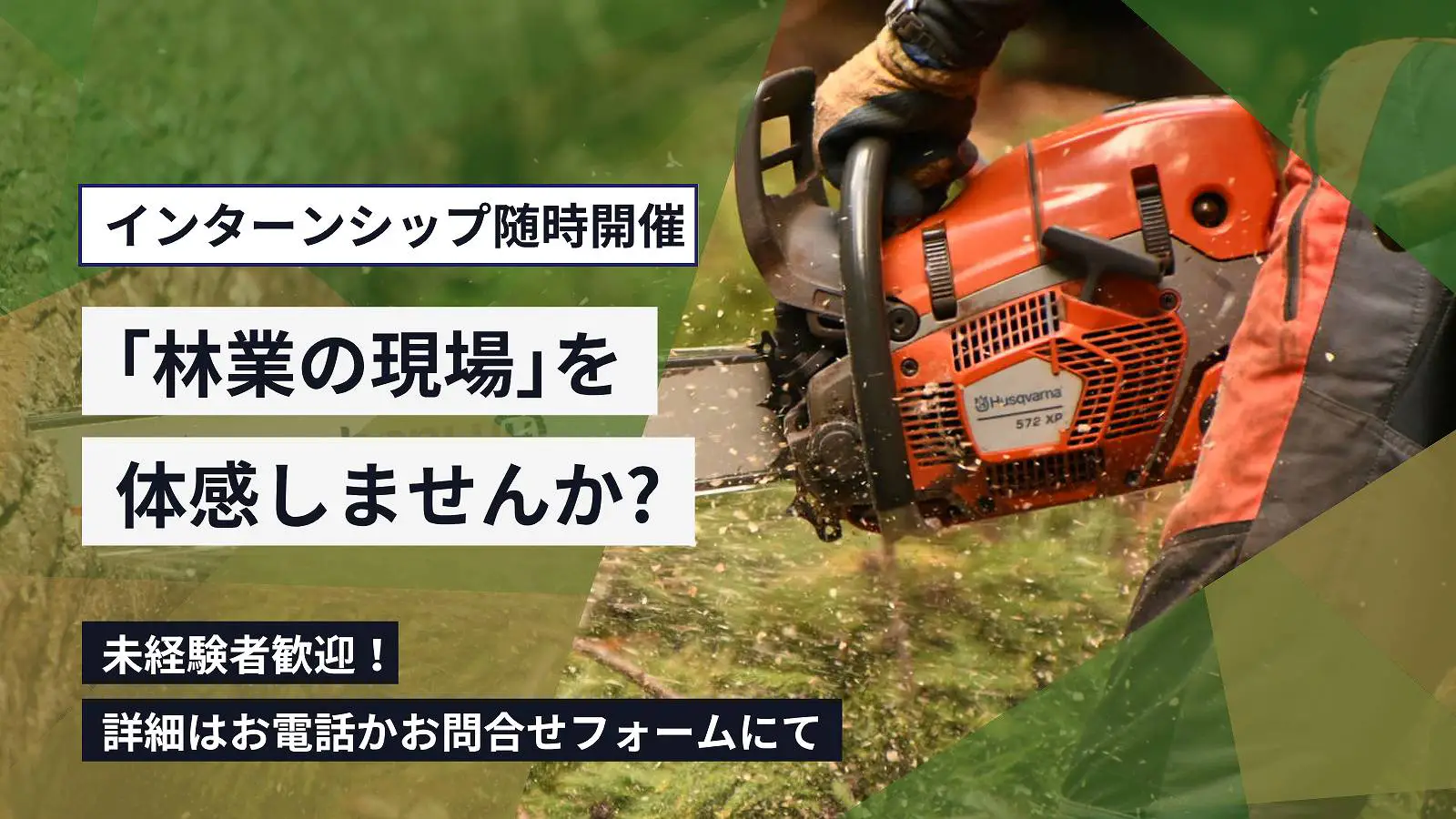 インターシップ随時開催「林業の現場」を体感しませんか？未経験者歓迎！詳細はお電話かお問い合わせフォームにて
