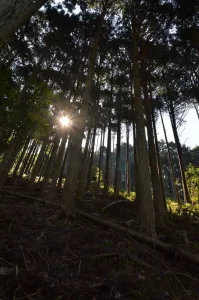組合活動写真