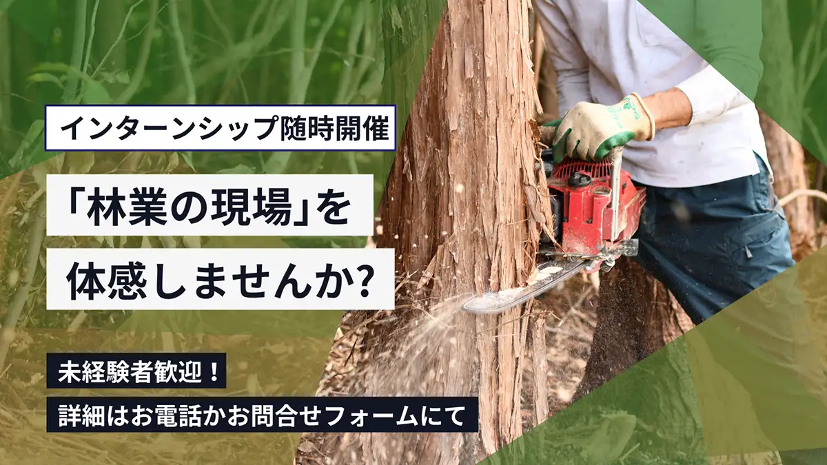 インターンシップ随時開催「林業の現場」を体感しませんか